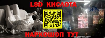 ПСИЛОЦИБИНОВЫЕ ГРИБЫ Заволжье