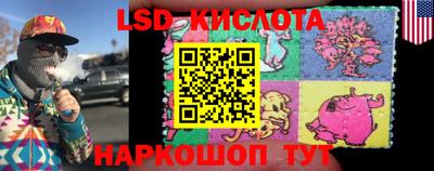 ПСИЛОЦИБИНОВЫЕ ГРИБЫ Заволжье