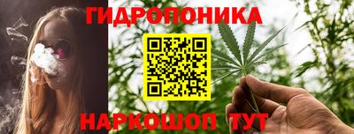 ПСИЛОЦИБИНОВЫЕ ГРИБЫ Заволжье