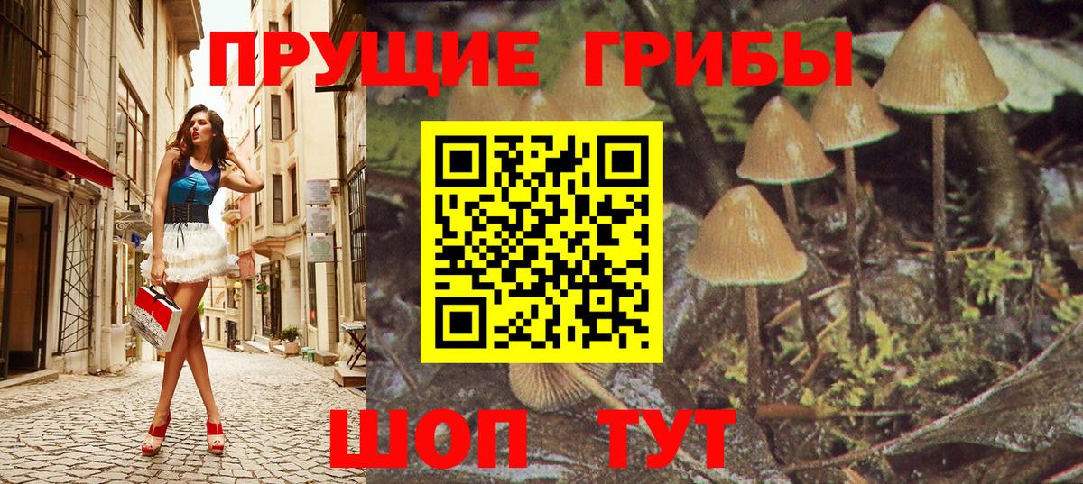 Магнитогорск  Галлюциногенные грибы Psilocybine cubensis  Вход с VPN  Галлюциногенные грибы прущие грибы 