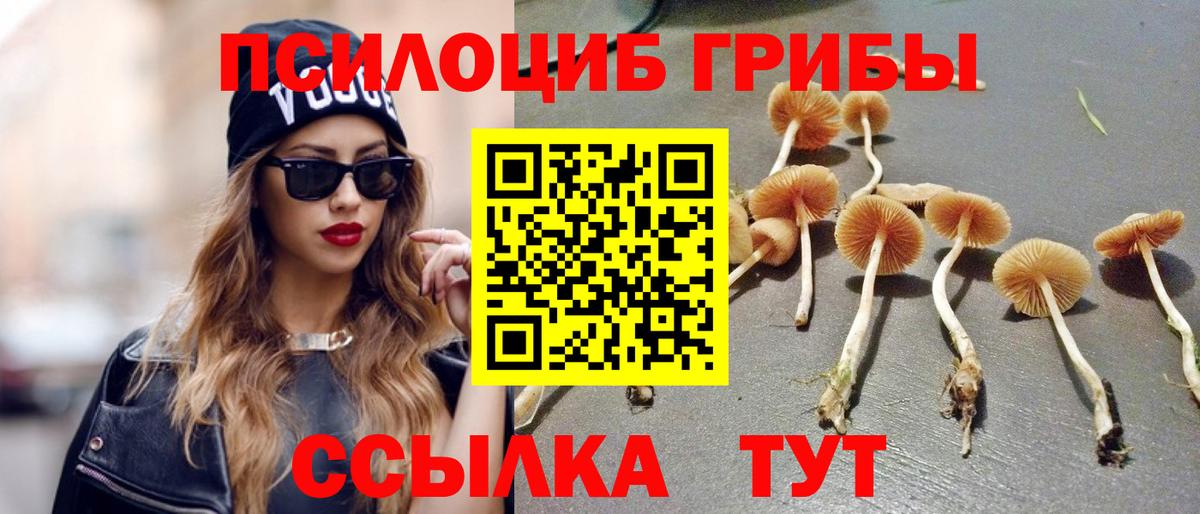 Псилоцибиновые грибы Psilocybe Магнитогорск